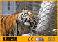 さびない動物のエンクロージャのための7X19タイプSS316Lの動物園の金網